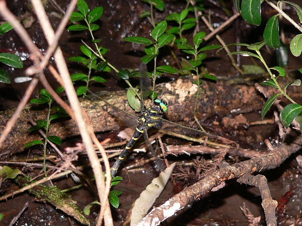e0002314_19284756.jpg