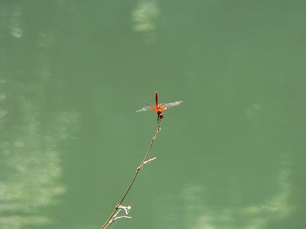 e0002314_193968.jpg