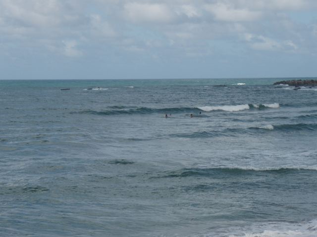 f0116314_1912375.jpg