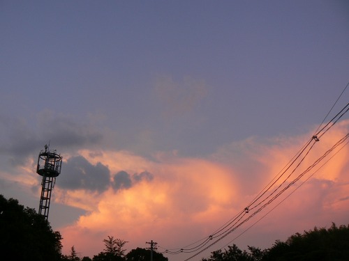 e0075015_4532796.jpg