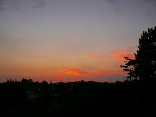 e0075015_4543154.jpg