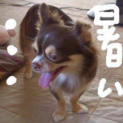 c0036617_18273745.jpg