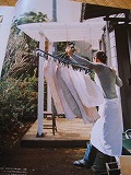 c0094621_1027278.jpg
