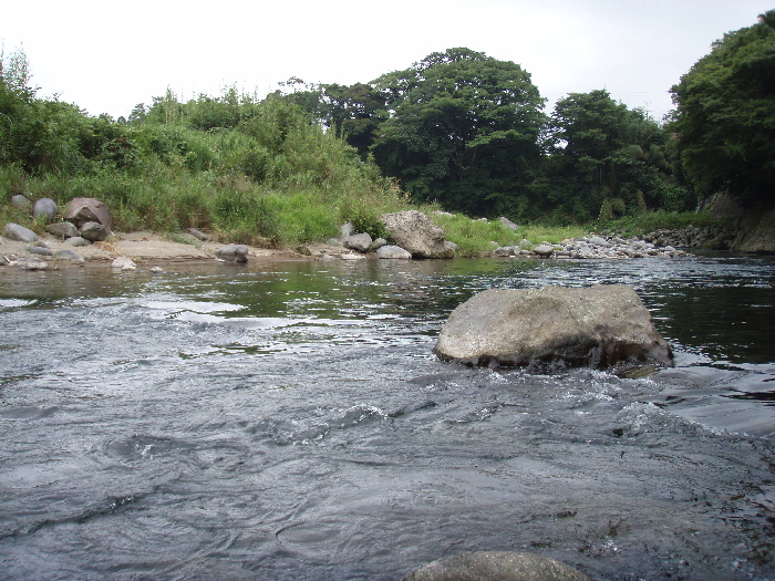 f0103126_2148532.jpg