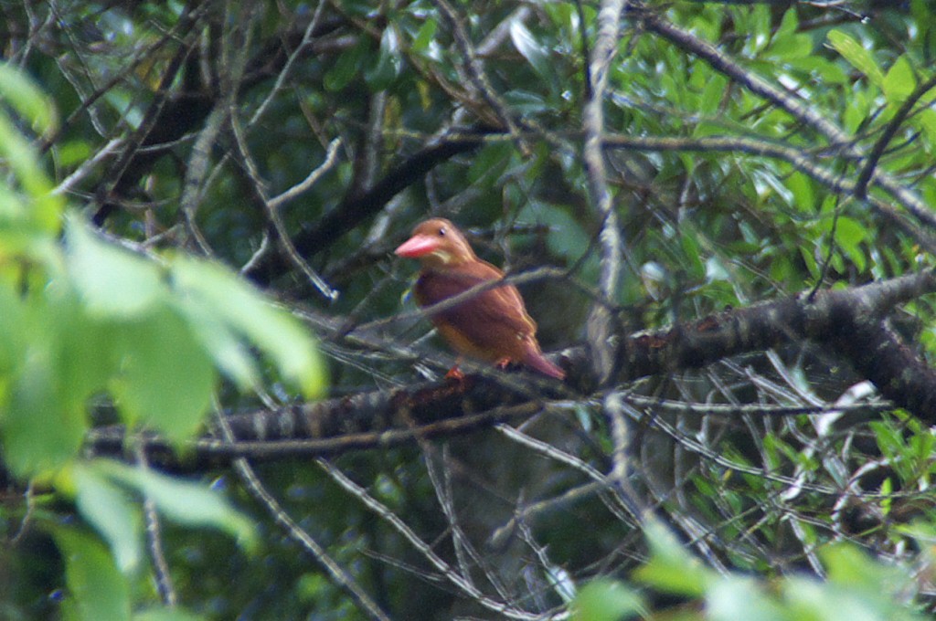 d0053930_1632538.jpg