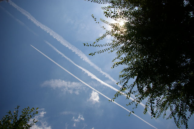 c0131034_23472492.jpg
