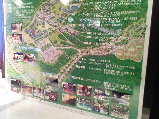 d0045945_1412344.jpg