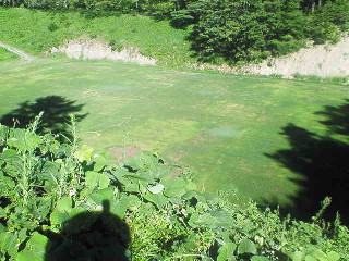 d0045945_1433542.jpg