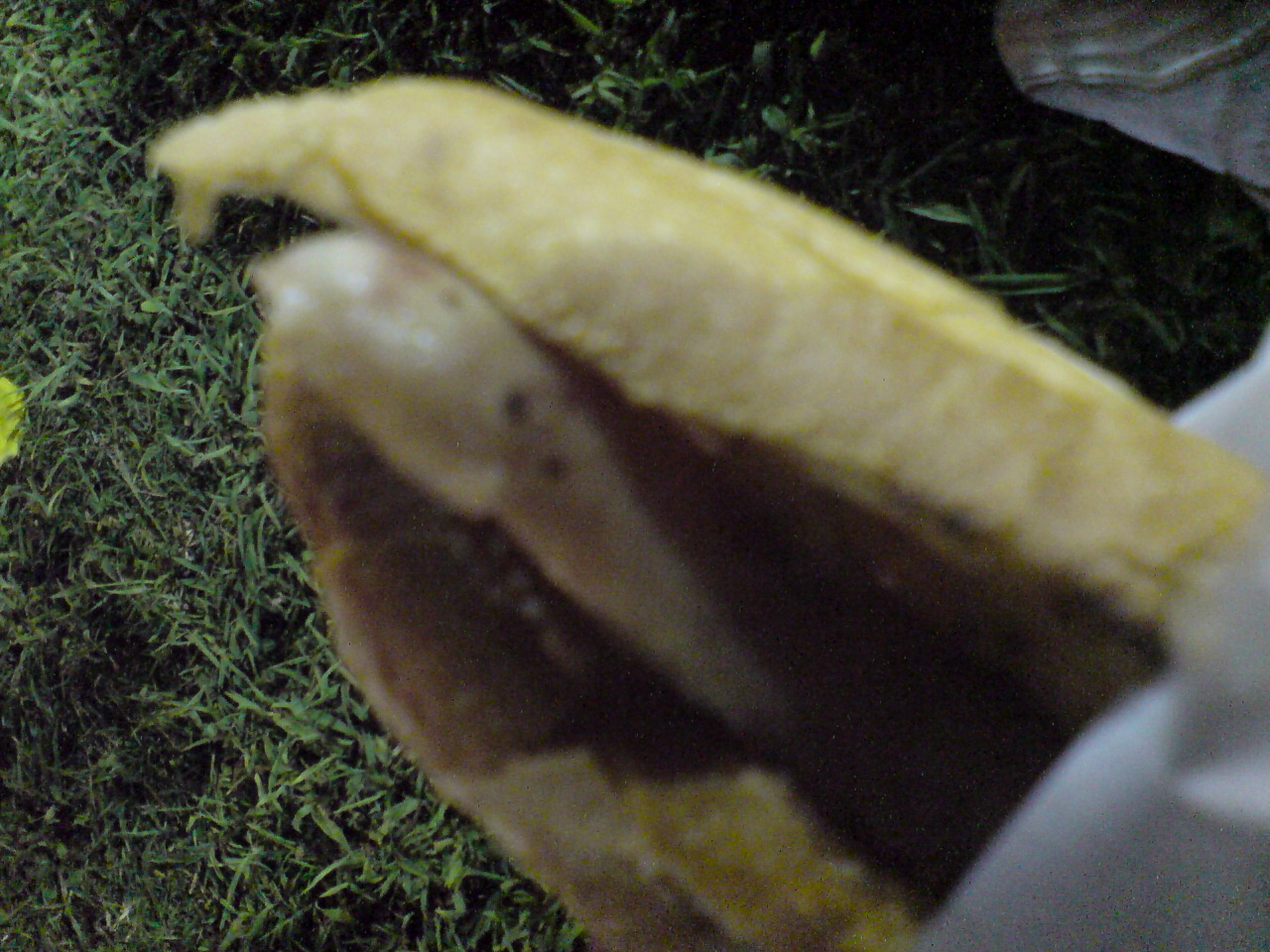 e0050449_23451325.jpg