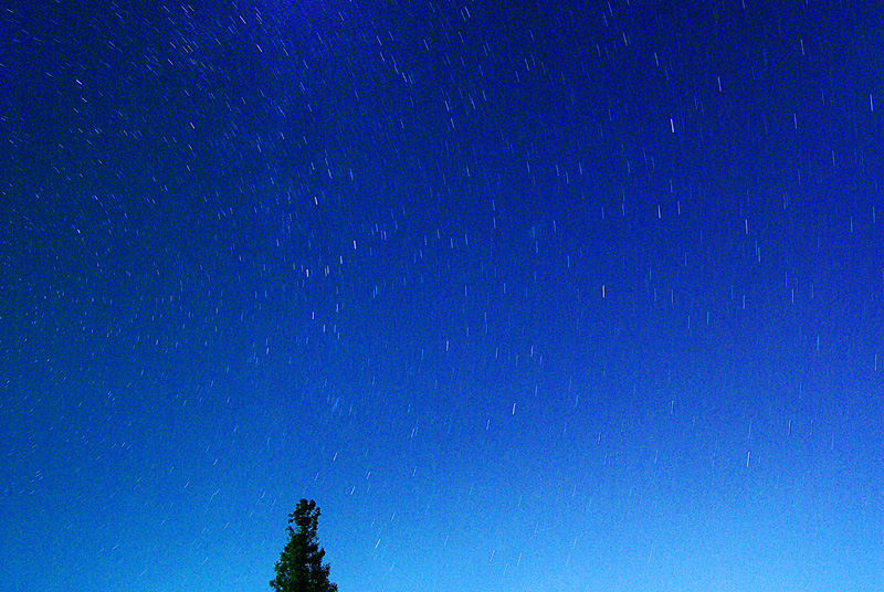 b0009653_1532594.jpg