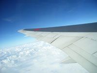 b0015055_924268.jpg