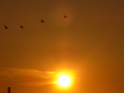 a0085558_15315894.jpg