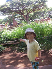 a0048361_8152226.jpg