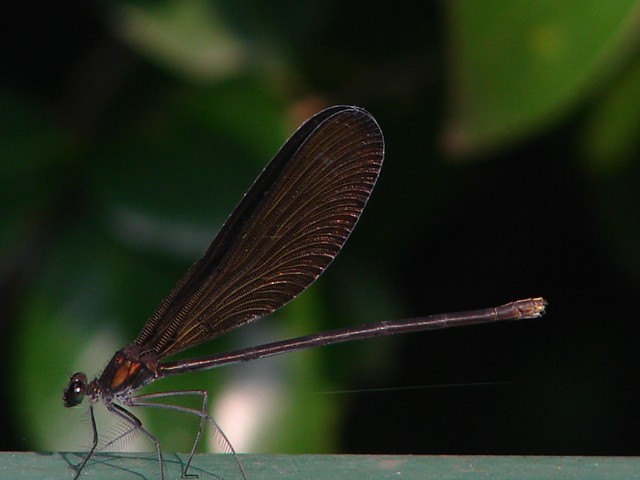 b0061261_19443982.jpg