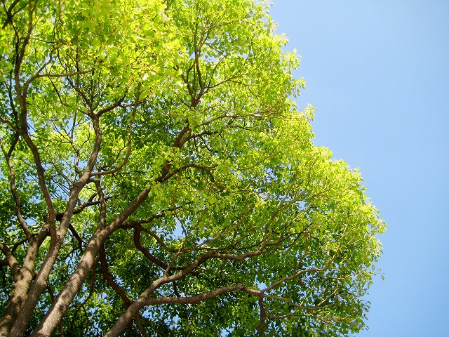 c0134861_020779.jpg