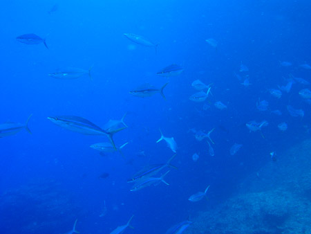 b0062363_23572164.jpg