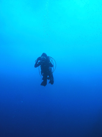 b0062363_23584417.jpg