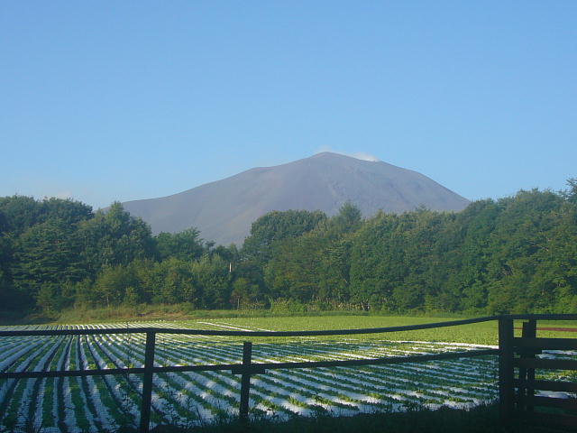 f0057565_2311207.jpg