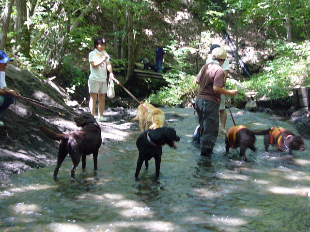 f0057565_2346137.jpg