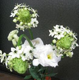f0146466_99578.jpg