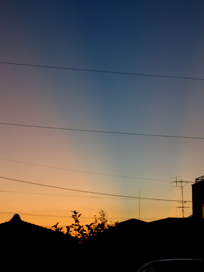 c0104371_1735761.jpg