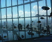 e0037673_23182677.jpg