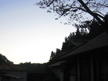 d0116578_15443595.jpg