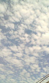 b0096080_10533765.jpg