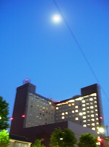 f0004581_1425884.jpg