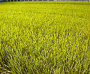 f0016981_23244999.jpg