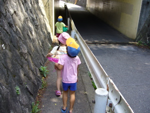 a0056686_13513264.jpg