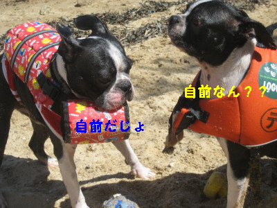 c0092787_1004221.jpg