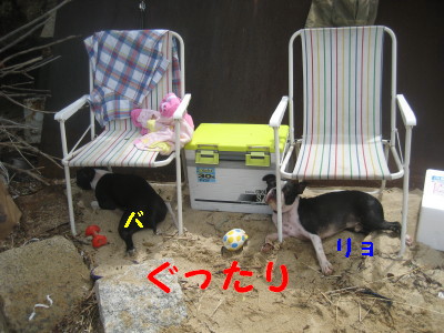 c0092787_10213186.jpg