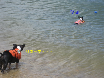 c0092787_10293457.jpg