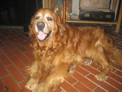 c0092787_10405254.jpg