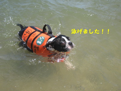 c0092787_1055962.jpg