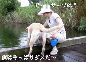 f0114893_21511238.jpg