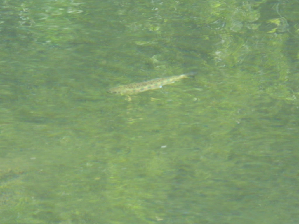 b0092694_02250100.jpg
