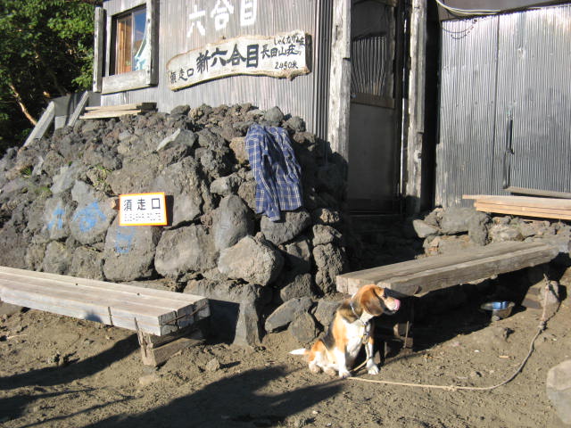 b0092694_0403132.jpg