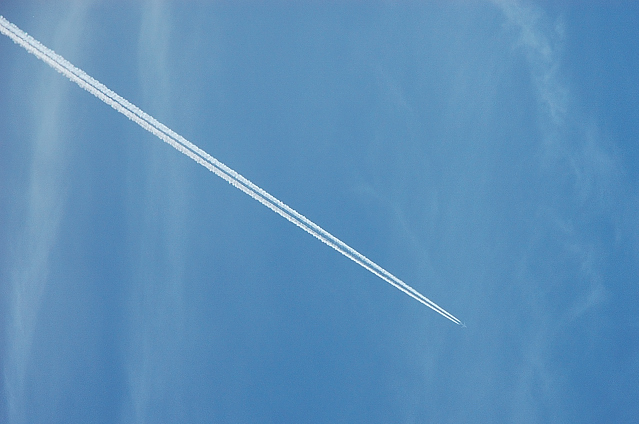 c0134295_11324041.jpg