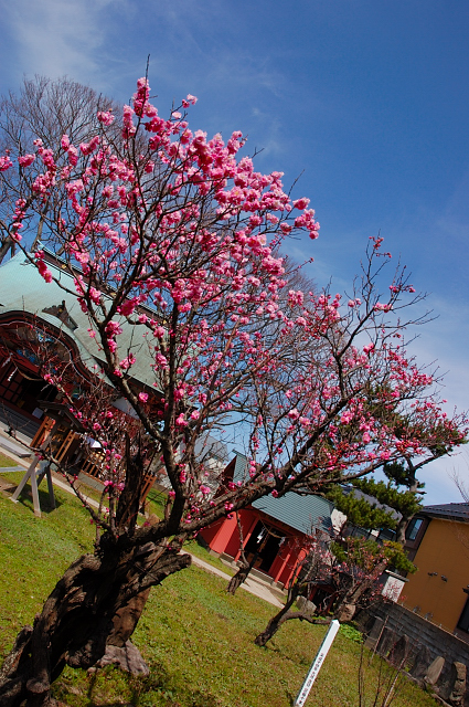 c0134295_1135479.jpg