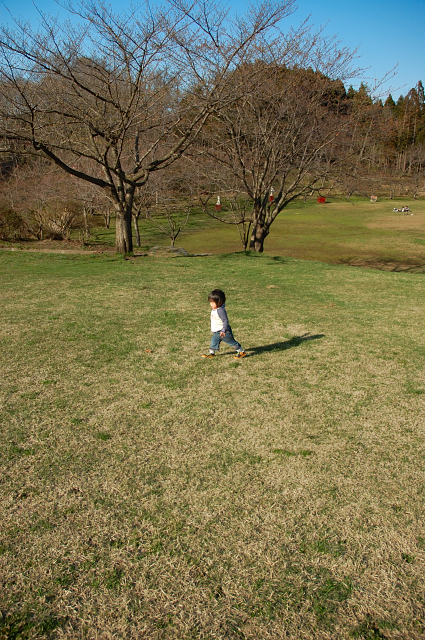 c0134295_1137627.jpg