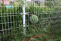 e0122199_17274157.jpg