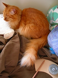 f0041600_5241055.jpg