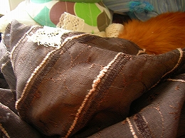 f0041600_5283439.jpg