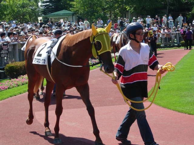 e0088402_2214567.jpg