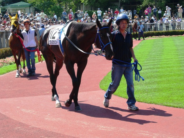 e0088402_2217675.jpg