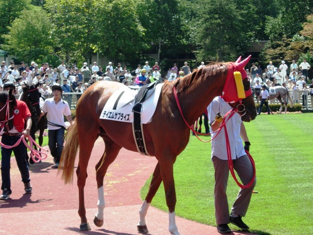 e0088402_2223571.jpg