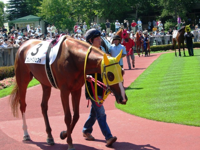 e0088402_2224145.jpg