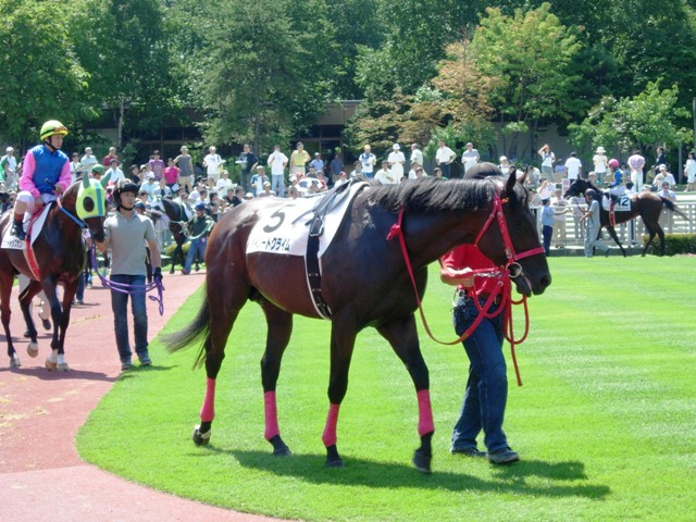 e0088402_22251594.jpg